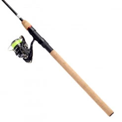 Daiwa Combo Ninja LT25 BS/802MHFS-BS 10-40g PMC -Daiwa Verkaufsgeschäft 216150 5