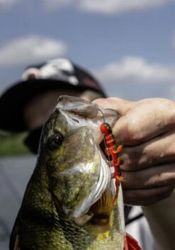 Quantum 4Street B-Ass Creature 6,3cm (7pcs) -Daiwa Verkaufsgeschäft 22 3580002r 2