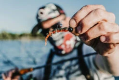 Quantum 4Street B-Ass Creature 6,3cm (7pcs) -Daiwa Verkaufsgeschäft 22 3580002r 5