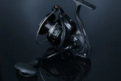 Daiwa BG Black LT -Daiwa Verkaufsgeschäft 32 220784r 3