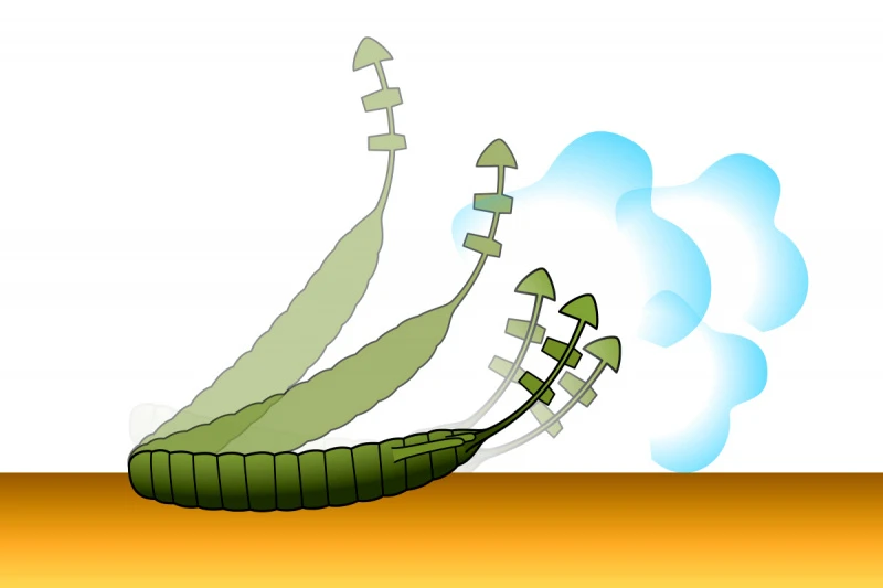 Deps Bull Flat 3.8'' 6 Deps Bull Flat 3.8'' – Bild 6