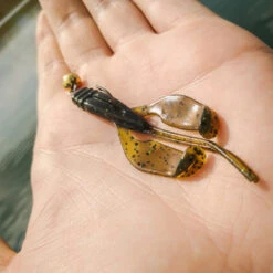 Perch Professor Fapping Craw 5,5cm (6pcs) 6 Perch Professor Fapping Craw 5,5cm (6pcs) -Daiwa Verkaufsgeschäft FC556P Or 2