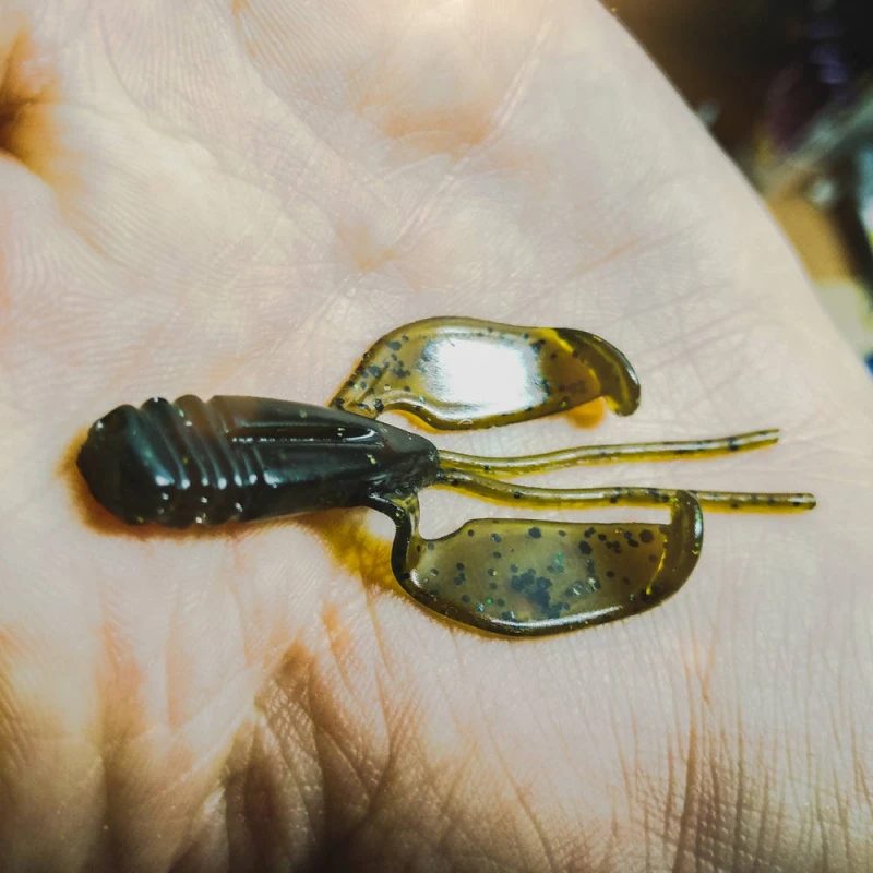 Perch Professor Fapping Craw 5,5cm (6pcs) 4 Perch Professor Fapping Craw 5,5cm (6pcs) – Bild 4