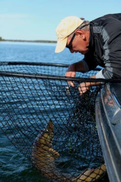 Drifter Tackle Predator Net 48 Black Handle -Daiwa Verkaufsgeschäft PR40XXL BKr 4