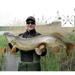 Eastfield Wingman Curly 23cm, 77g -Daiwa Verkaufsgeschäft wingman curlr 2