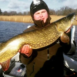 Eastfield Wingman Curly 23cm, 77g -Daiwa Verkaufsgeschäft wingman curlr 4