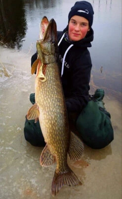 Eastfield Wingman Curly 23cm, 77g -Daiwa Verkaufsgeschäft wingman curlr 5